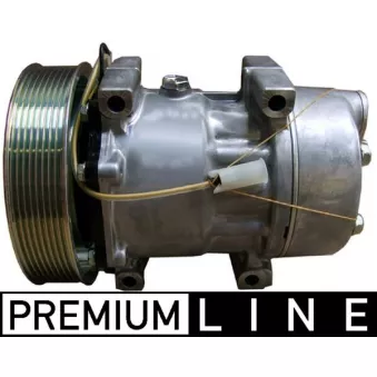 Compresseur, climatisation MAHLE ACP 1122 000P