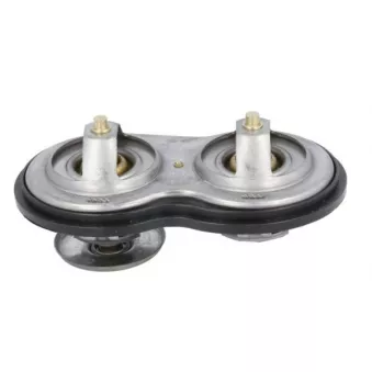 Thermostat, liqiuide de refroidissement THERMOTEC