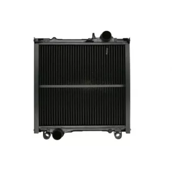 Radiateur, refroidissement du moteur THERMOTEC D7AG092TT