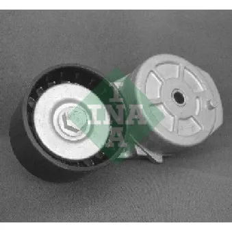 Poulie-tendeur, courroie trapézoïdale à nervures INA