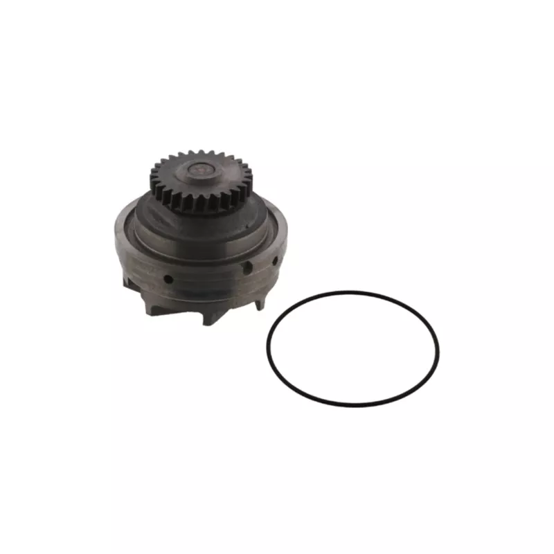 Pompe à eau MAHLE CP 484 000S