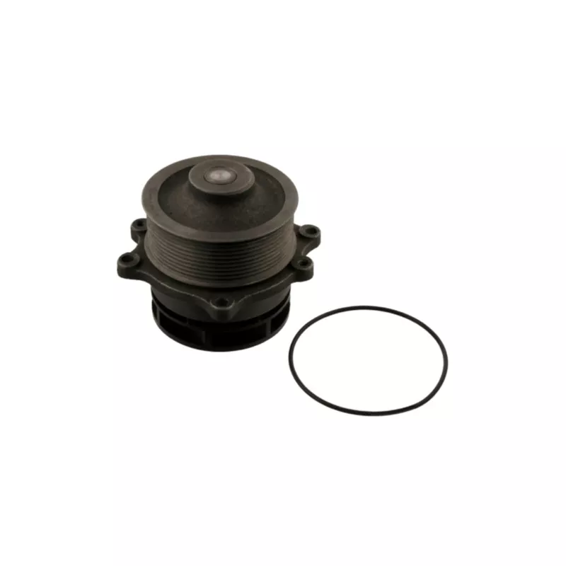 Pompe à eau MAHLE CP 489 000S