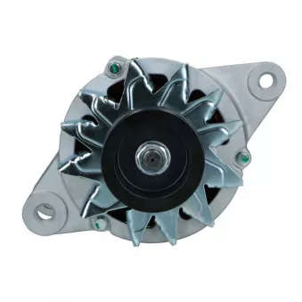 Alternateur BV PSH 136.021.050.148