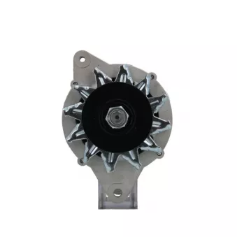 Alternateur BV PSH 136.805.025.080
