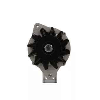 Alternateur BV PSH 136.802.025.080