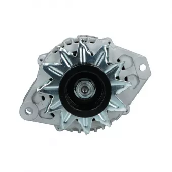 Alternateur BV PSH 136.502.050.089