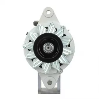 Alternateur BV PSH 136.004.050.711