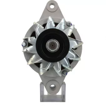 Alternateur BV PSH 136.004.050.140