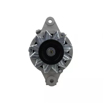 Alternateur BV PSH 136.007.050.140