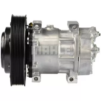 Compresseur, climatisation BV PSH