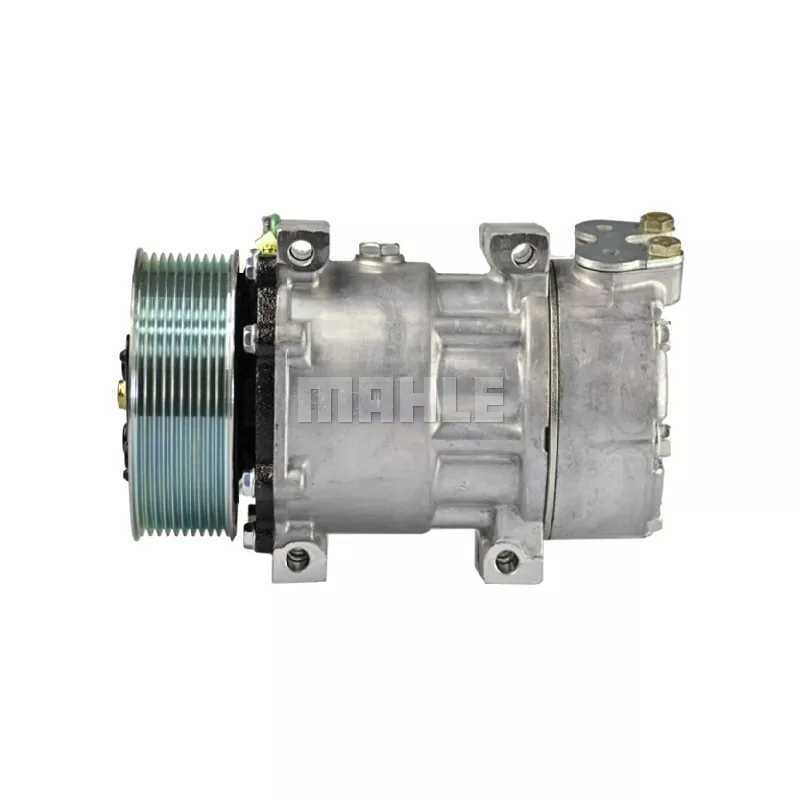 Compresseur, climatisation BV PSH 090.915.006.311