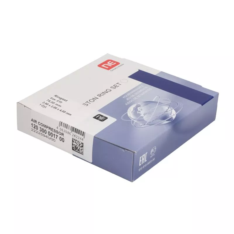 Jeu de segments de pistons NE 8954130000