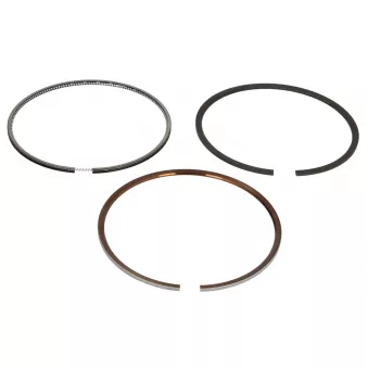 Jeu de segments de pistons NE 8915630000