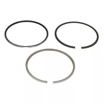 Jeu de segments de pistons NE 8915480000
