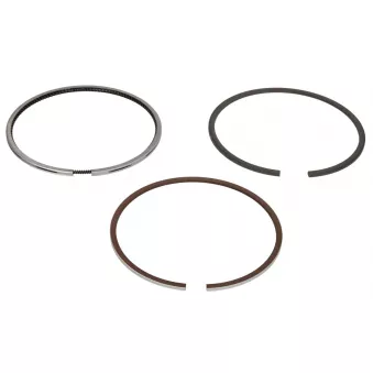 Jeu de segments de pistons NE 8936030000