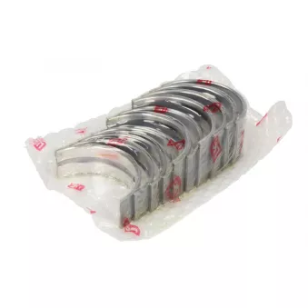 Kit de coussinet de vilebrequin NE 6036003000