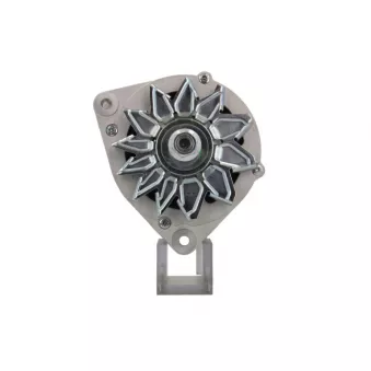 Alternateur BV PSH 516.011.080.310