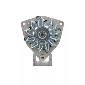 Alternateur BV PSH 516.008.035.310