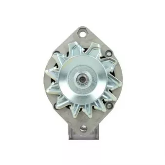 Alternateur BV PSH 506.001.035.311