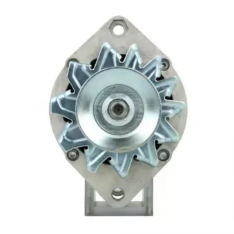 Alternateur BV PSH 506.003.055.311