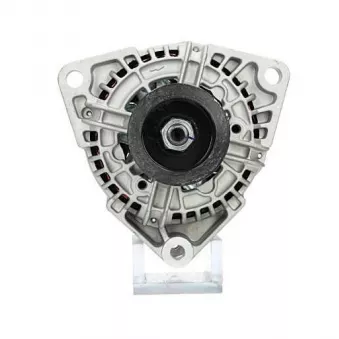 Alternateur BV PSH 305.933.120.010