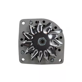 Alternateur BV PSH 916.015.065.010