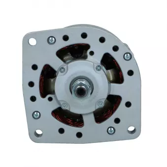 Alternateur BV PSH 916.007.065.018