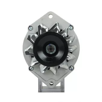 Alternateur BV PSH 916.003.055.010