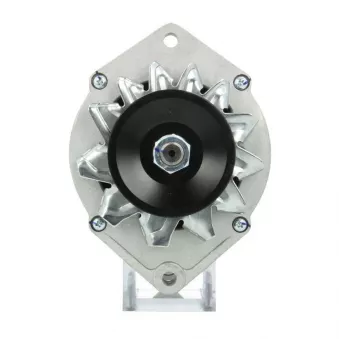 Alternateur BV PSH 916.003.075.010