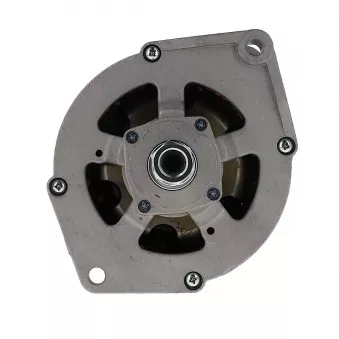 Alternateur BV PSH 916.003.075.018