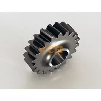 Pignon, marche arrière (pignon de retour) C.E.I.