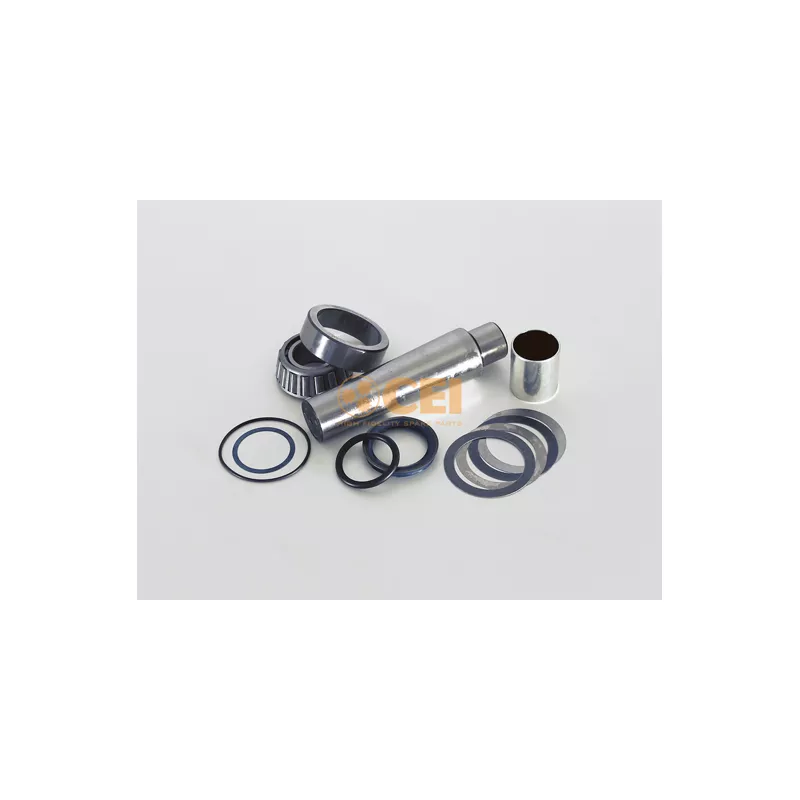 Kit d'assemblage, pivot de fusée d'essieu C.E.I. 198.619