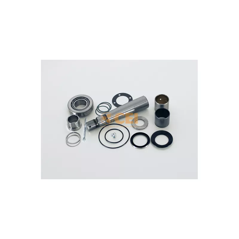 Kit d'assemblage, pivot de fusée d'essieu C.E.I. 198.568