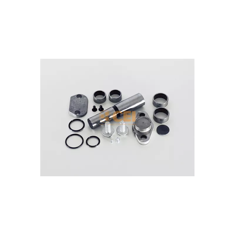 Kit d'assemblage, pivot de fusée d'essieu C.E.I. 230.057