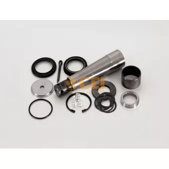 Kit d'assemblage, pivot de fusée d'essieu C.E.I.