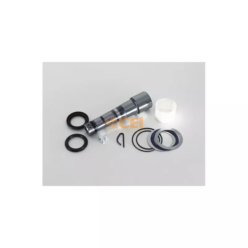 Kit d'assemblage, pivot de fusée d'essieu C.E.I. 230.043