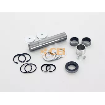 Kit d'assemblage, pivot de fusée d'essieu C.E.I.