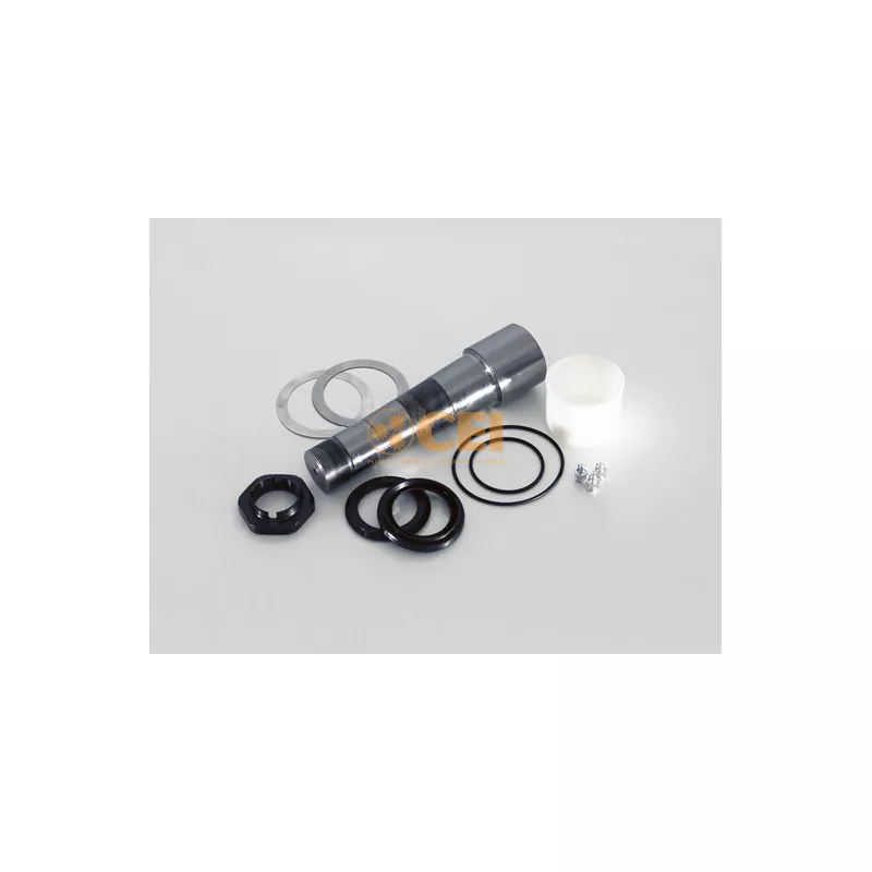 Kit d'assemblage, pivot de fusée d'essieu C.E.I. 230.065