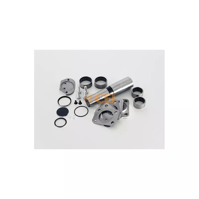 Kit d'assemblage, pivot de fusée d'essieu C.E.I. 230.066