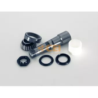 Kit d'assemblage, pivot de fusée d'essieu C.E.I.