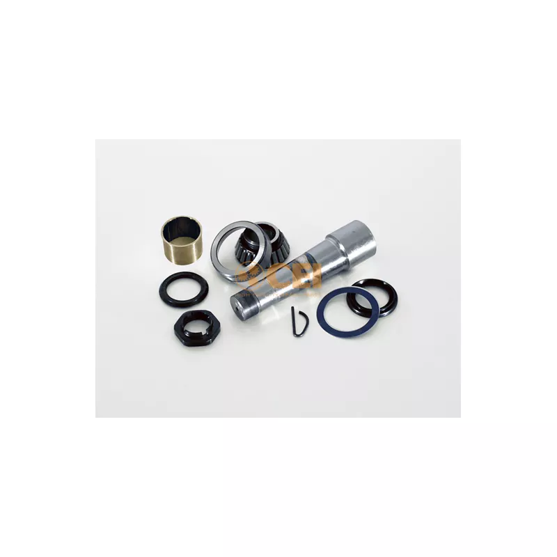 Kit d'assemblage, pivot de fusée d'essieu C.E.I. 230.096