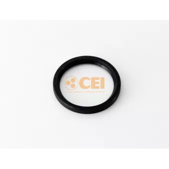 Bague d'étanchéité, boîte de vitesse manuel C.E.I.