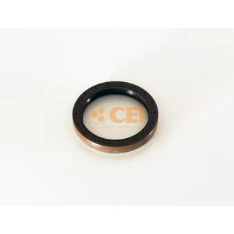 Bague d'étanchéité, différentiel C.E.I.