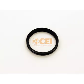 Bague d'étanchéité, différentiel C.E.I.