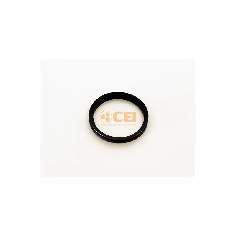 Bague d'étanchéité, différentiel C.E.I. 239.093