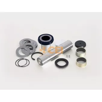 Kit d'assemblage, pivot de fusée d'essieu C.E.I.