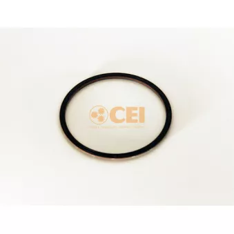 Bague d'étanchéité, différentiel C.E.I.