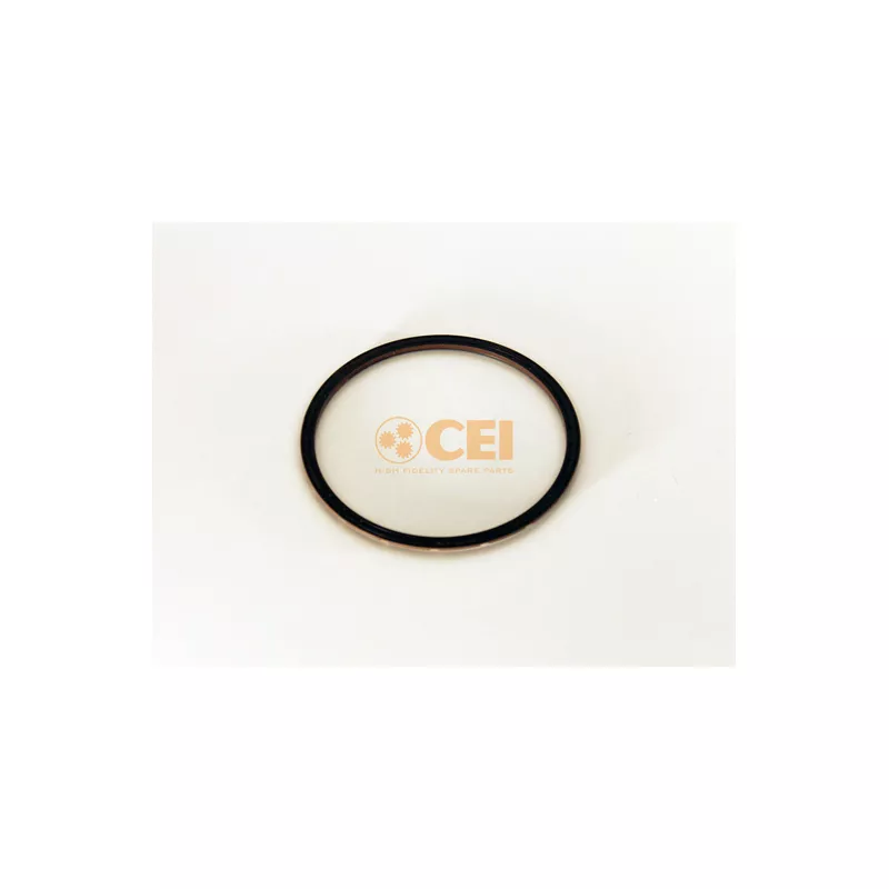 Bague d'étanchéité, différentiel C.E.I. 239.122