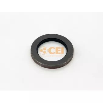 Bague d'étanchéité, différentiel C.E.I.