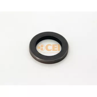 Bague d'étanchéité, différentiel C.E.I.